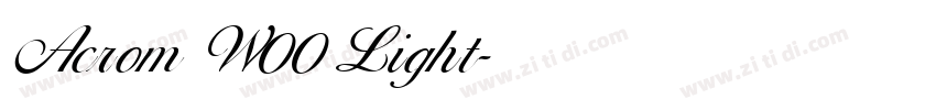 Acrom W00 Light字体转换